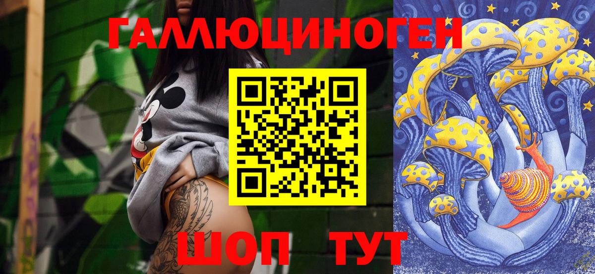 купить наркоту  Псилоцибиновые грибы Psilocybe  Вход с VPN  Псков 